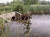 Coon Lake Water Level 07/01/08