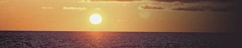 Header Graphic