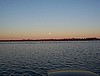 Full Moon Migration